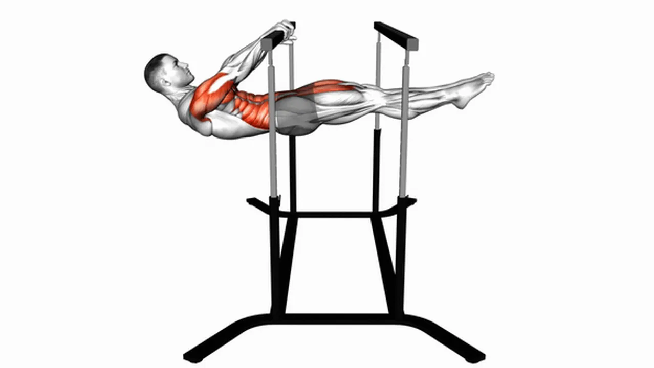 Common Front Lever variations Image