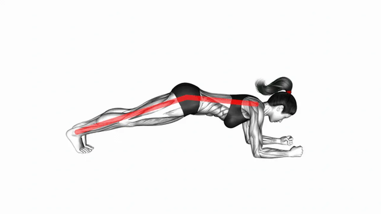 How to do a Front Plank? Image