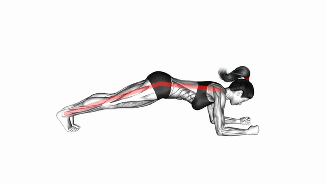 Common Front Plank variations Image