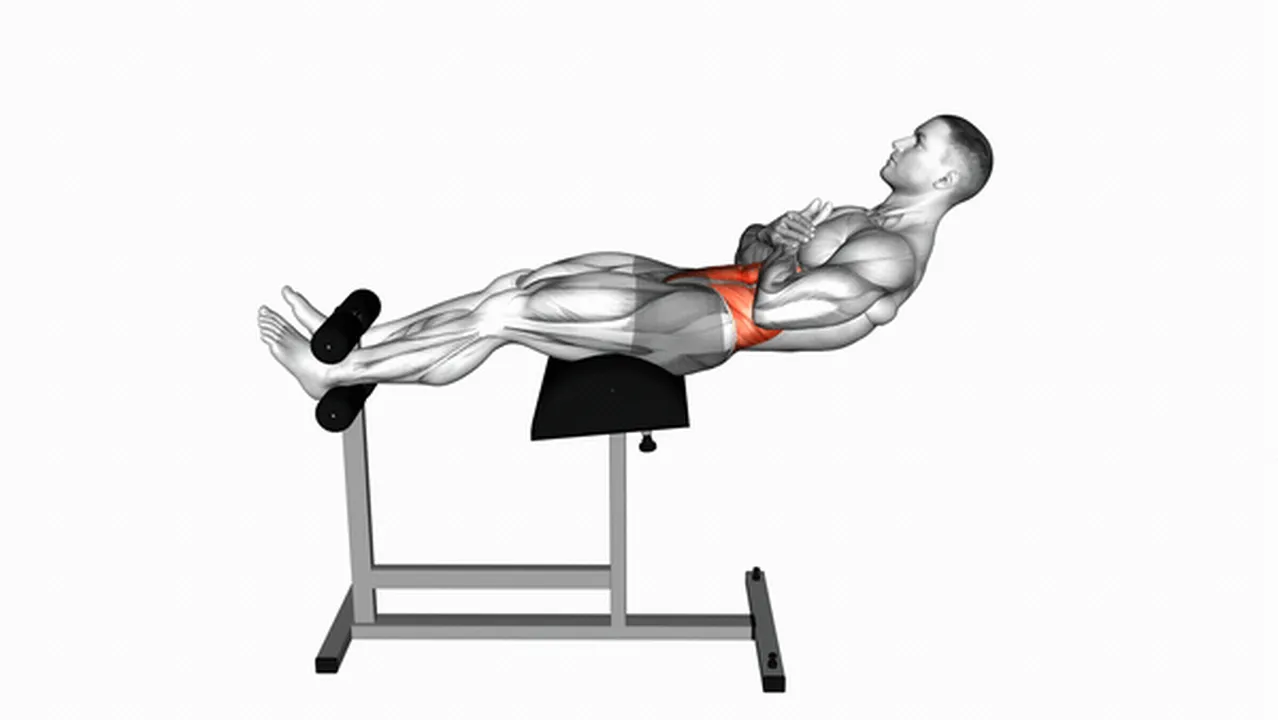 How to Perform Glute Ham Developer Crunches? Image