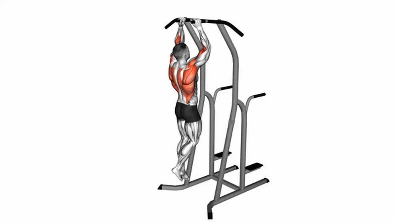 What are the benefits of hammer grip pull-ups on dip cage? Image