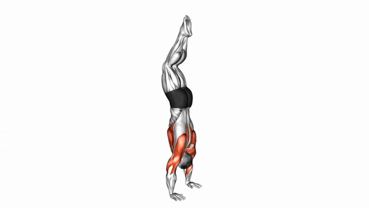 Common handstand variations Image