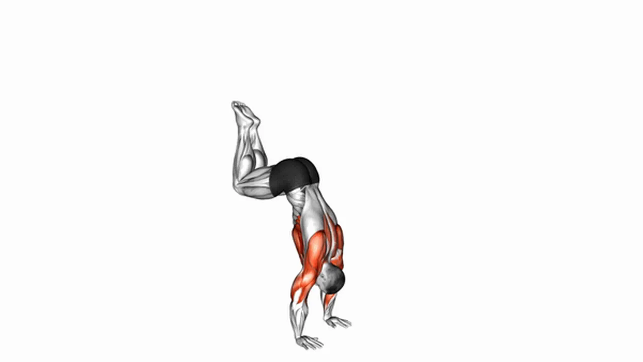 How to do Handstand Push-Ups? Image