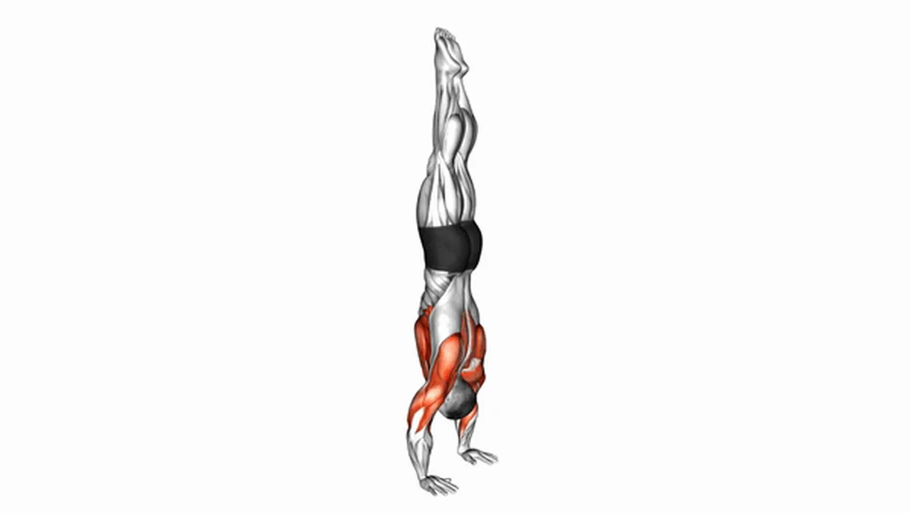 Common Handstand Push-Up variations Image