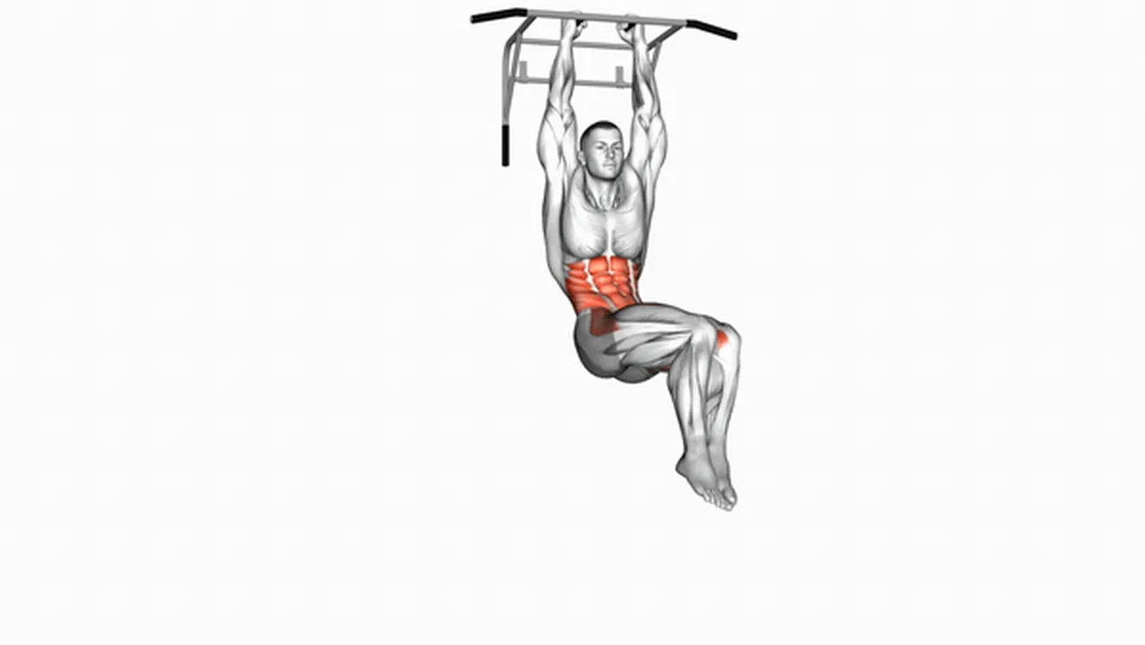 Common hanging oblique knee raises variations Image