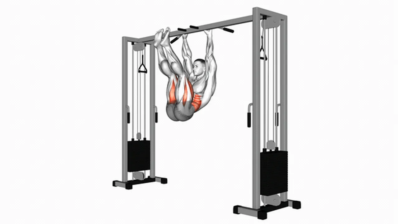 What are the benefits of Hanging Straight Leg Hip Raises? Image