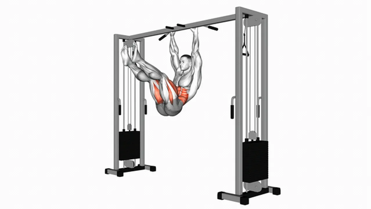 Common Hanging Straight Leg Hip Raise variations Image