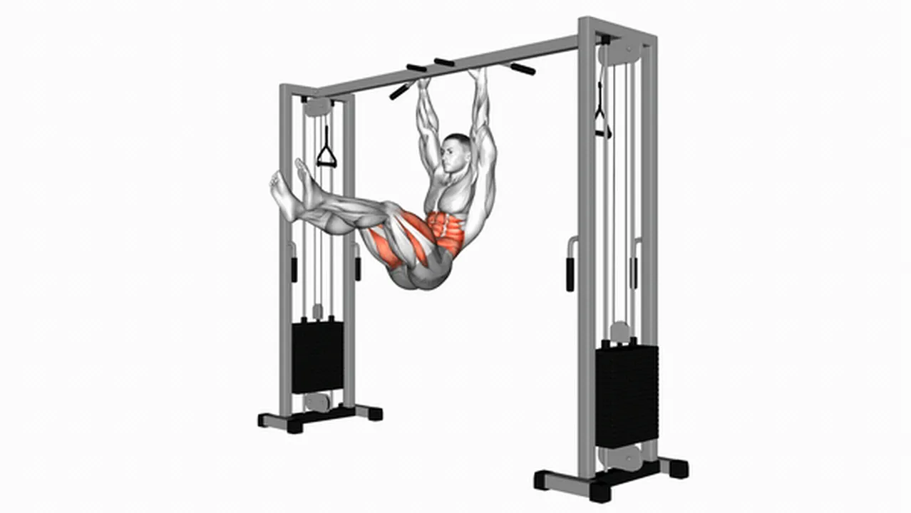 Alternatives to Hanging Straight Leg Hip Raises Image