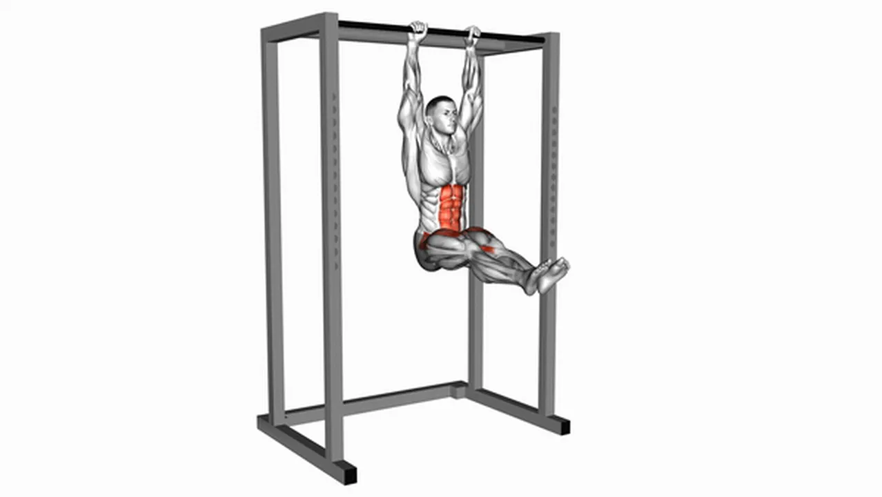 Common hanging straight leg raises variations Image