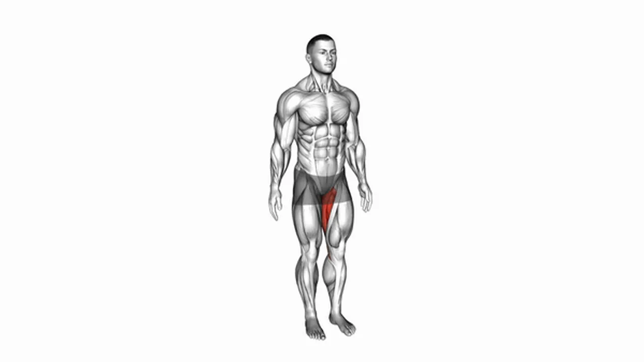 Common hip adduction variations Image