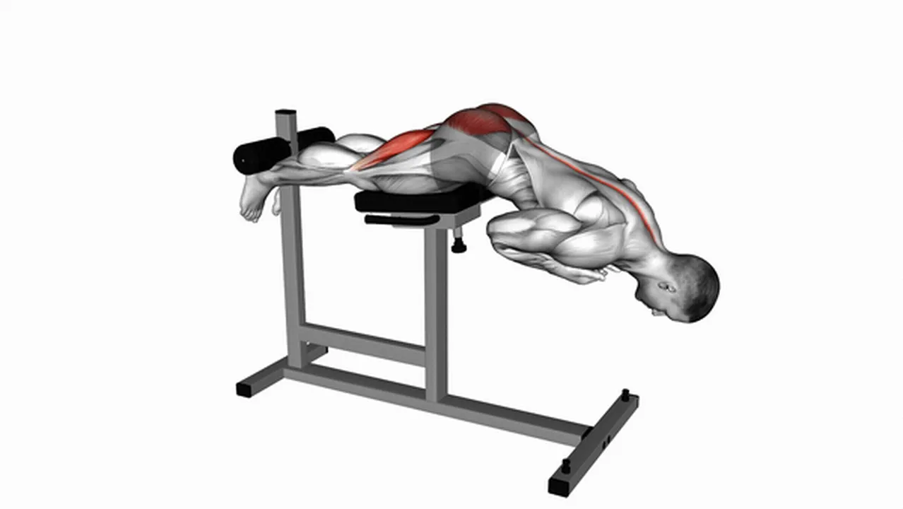 Common hyperextensions variations Image