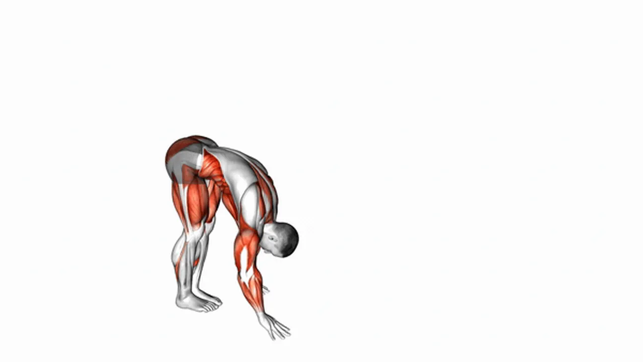 How to do the Inchworm Exercise? Image