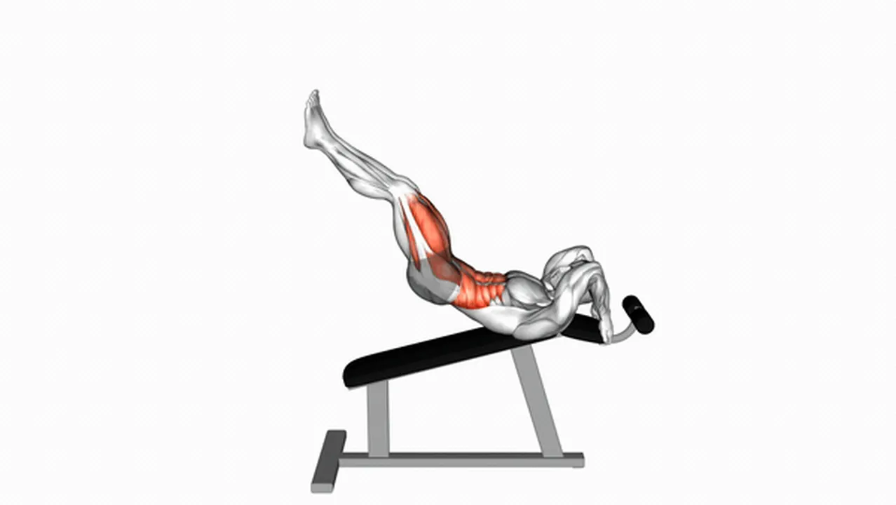 Common Incline Leg Hip Raise Variations Image