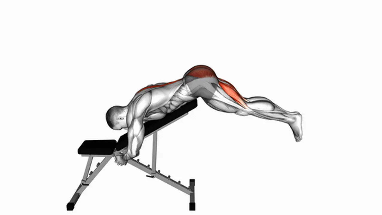 Common Incline Reverse Hyperextension variations Image