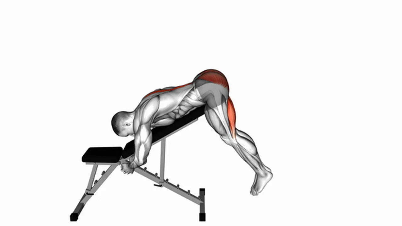 Common mistakes during Incline Reverse Hyperextensions Image