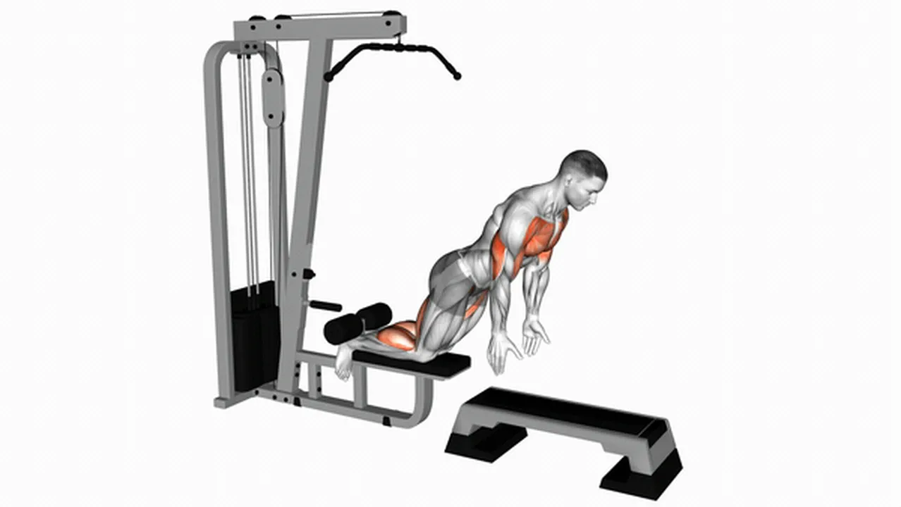 How to do an Inverse Leg Curl on a Pull-Up Cable Machine? Image