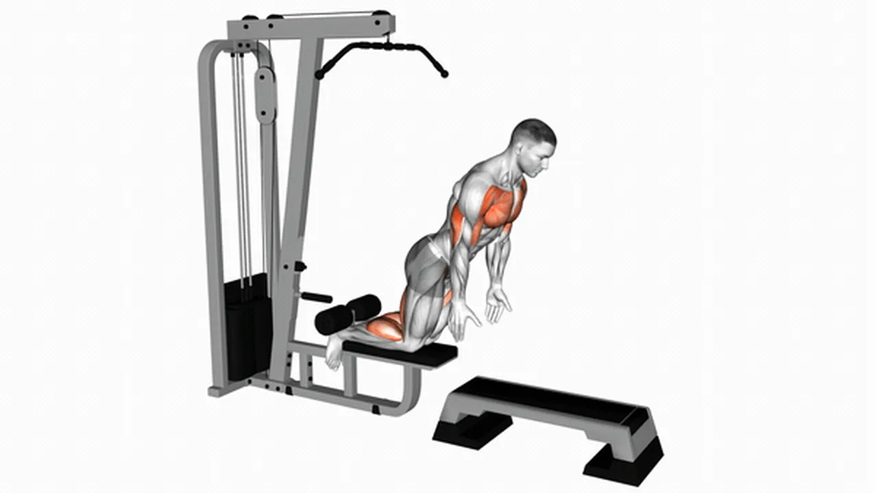 Common mistakes during the Inverse Leg Curl Image