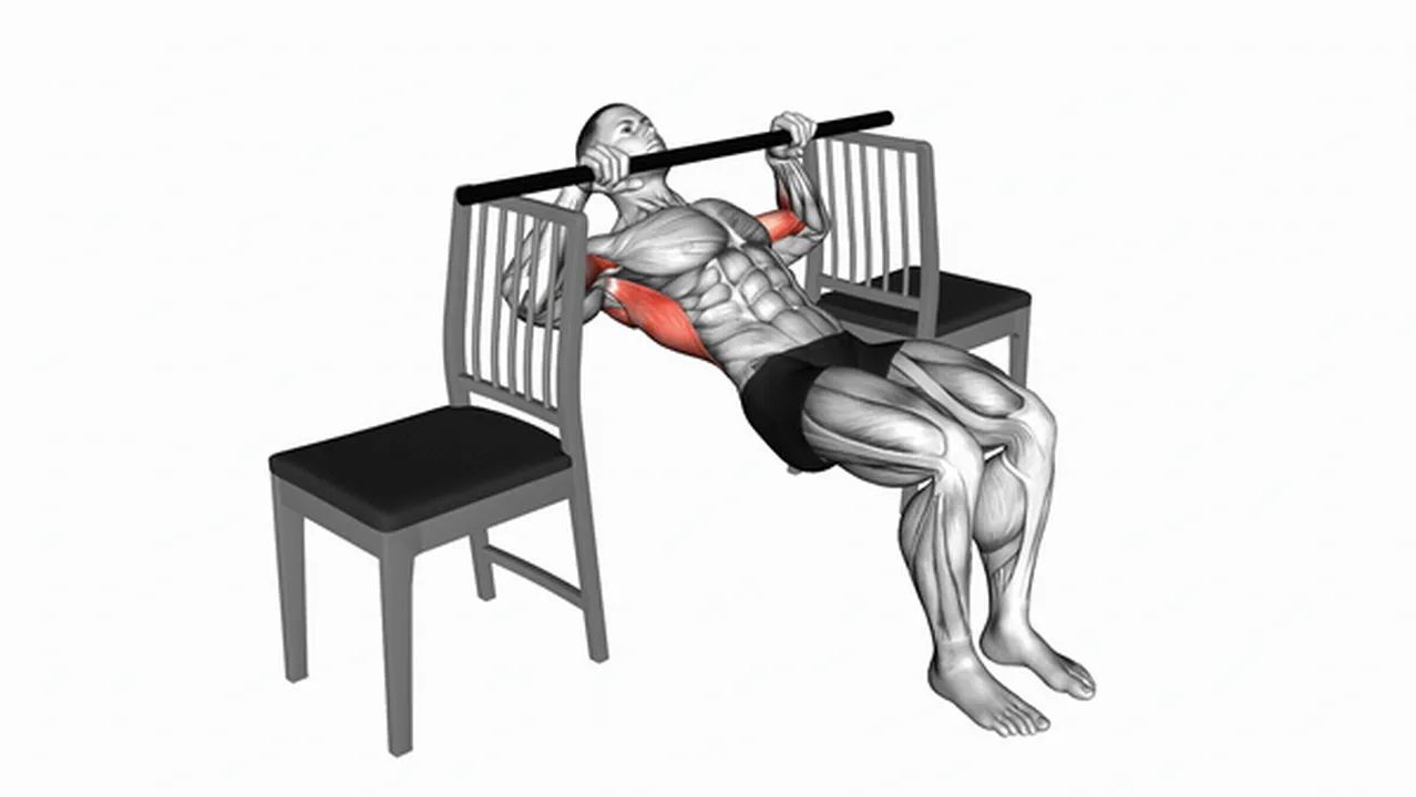 Alternatives to inverted rows with bent knees Image