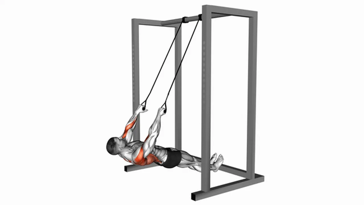 Common mistakes during inverted rows with straps Image