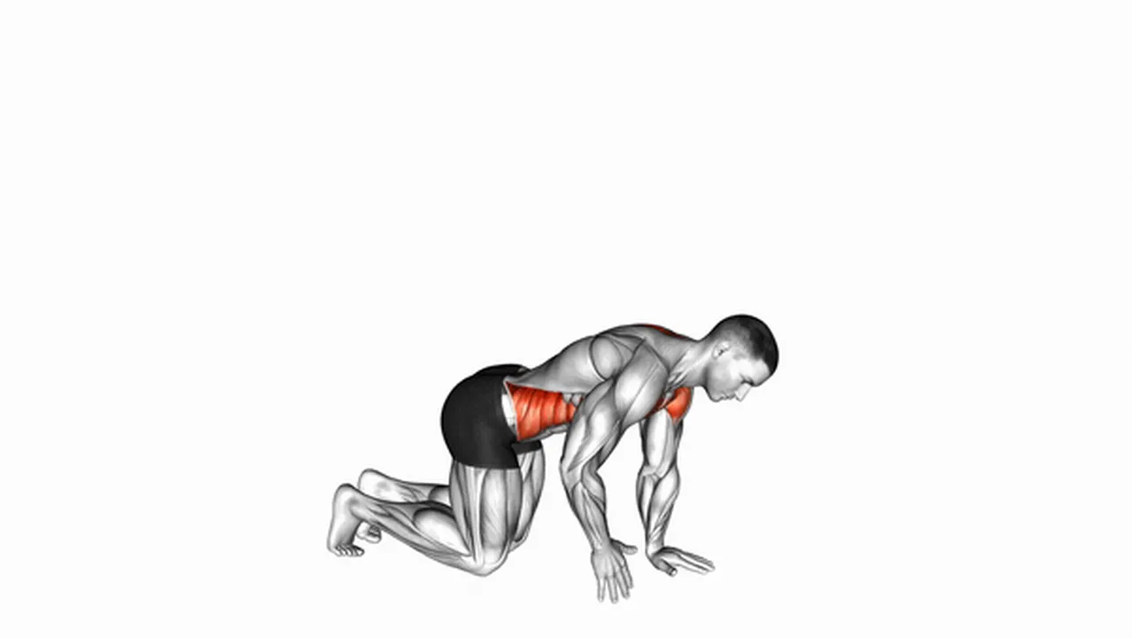 Common mistakes during the Kneeling Back Rotation Stretch Image