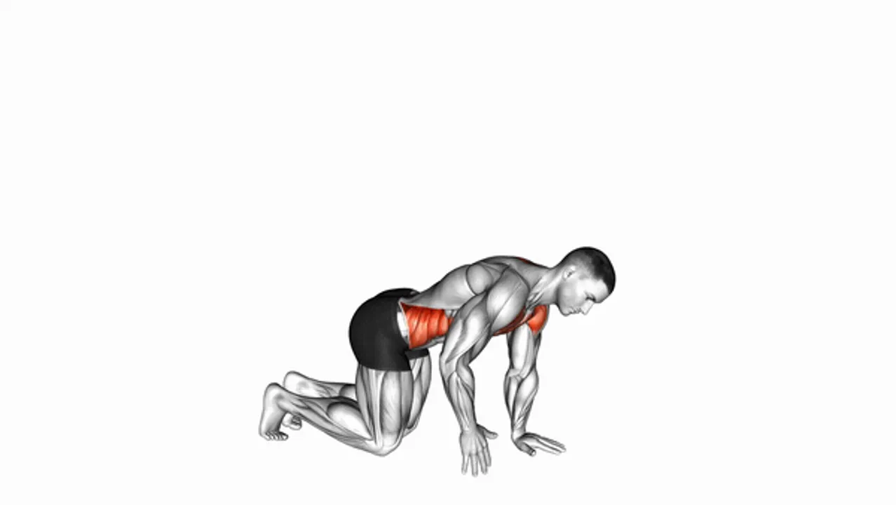 Kneeling Back Rotation Stretch