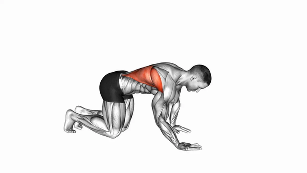 What are the benefits of the Kneeling Lat Stretch? Image