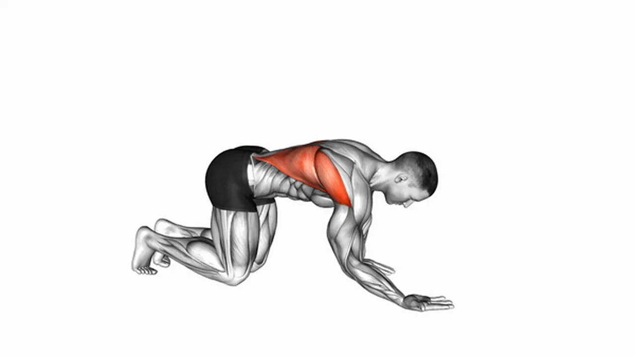 How to do the Kneeling Lat Stretch? Image