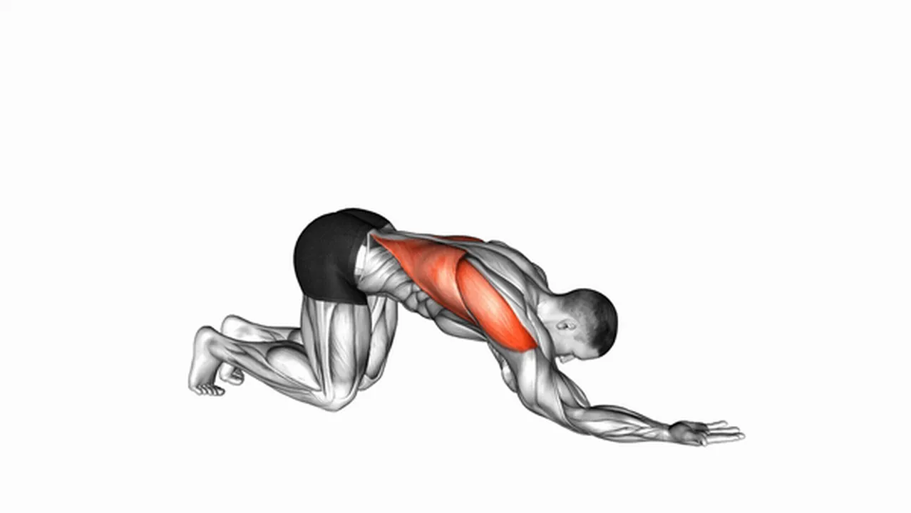 Alternatives to the Kneeling Lat Stretch Image