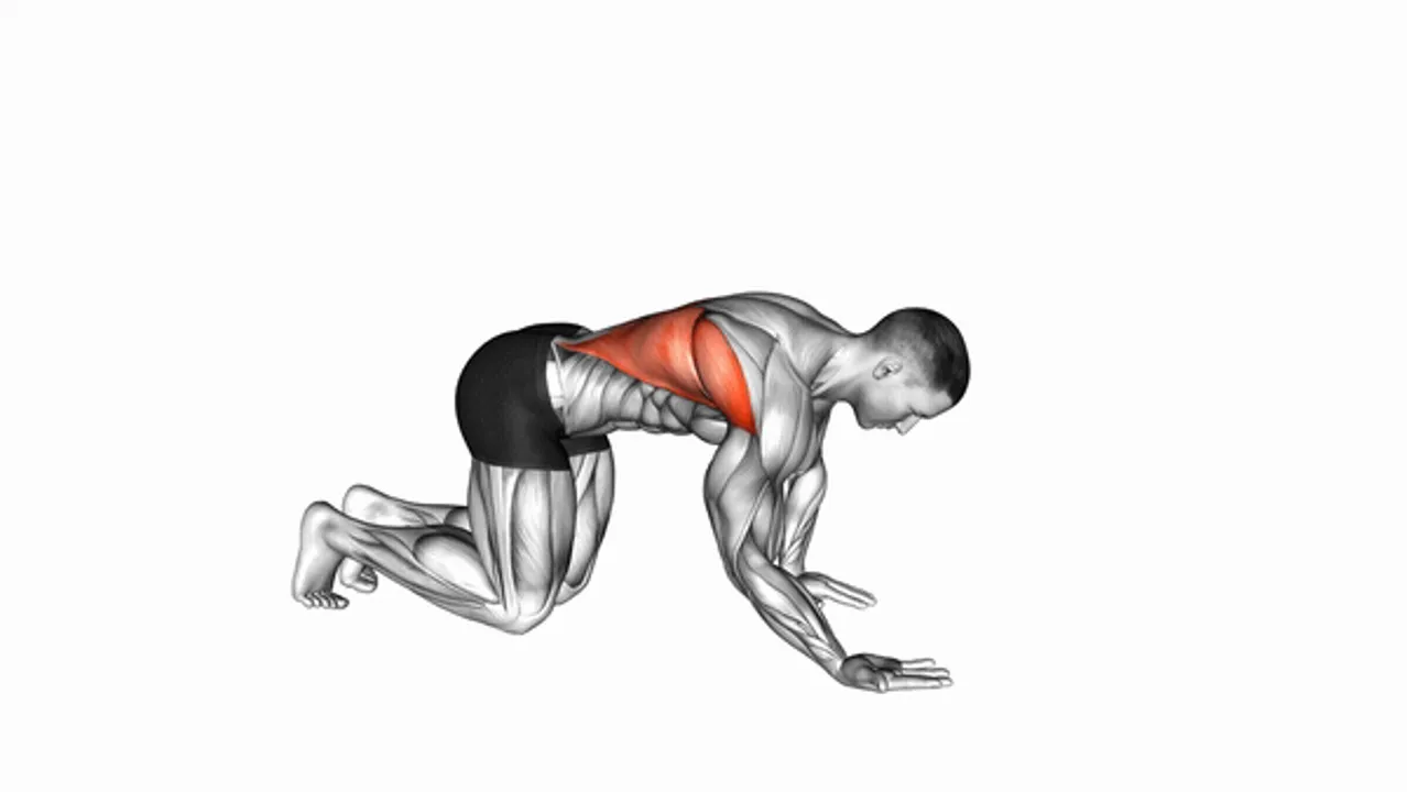 Kneeling Lat Stretch