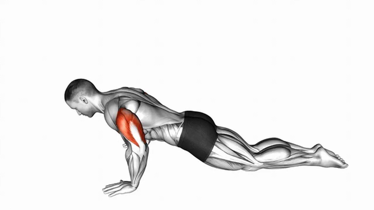 Common kneeling push-up variations Image