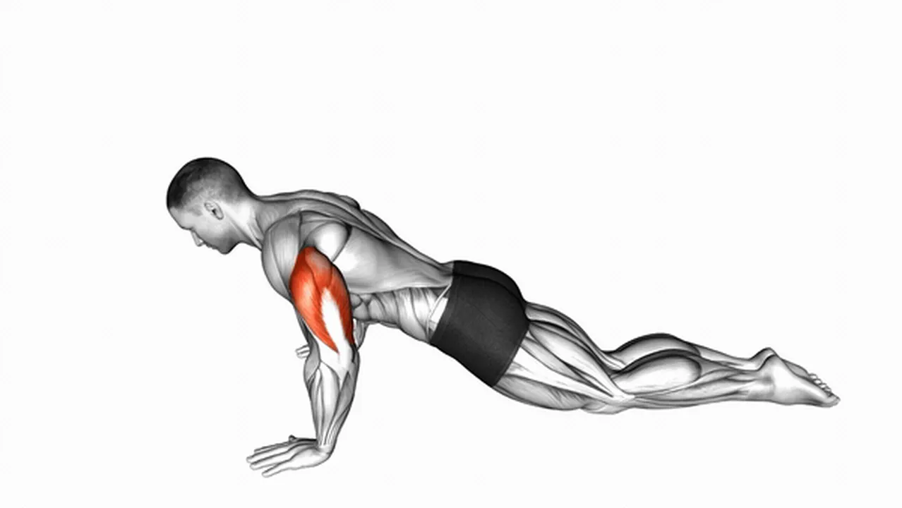 Alternatives to kneeling push-ups Image