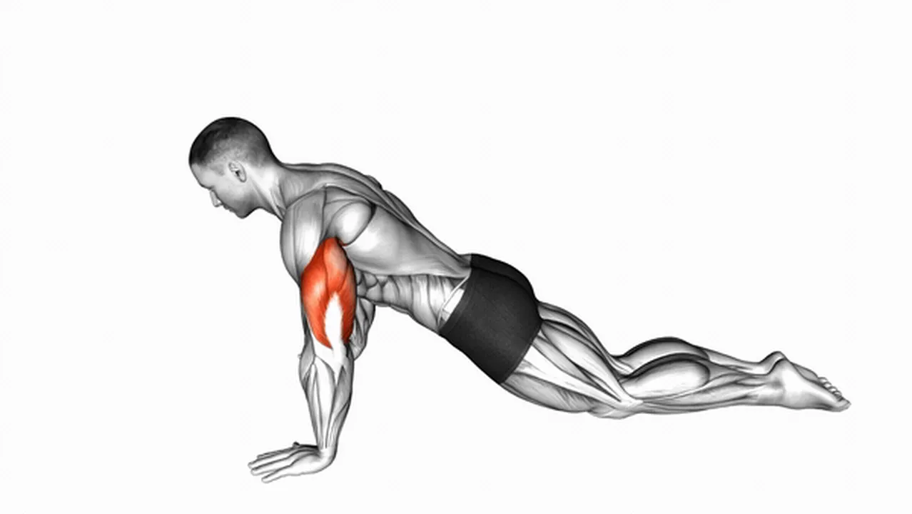 Common mistakes during kneeling push-ups Image