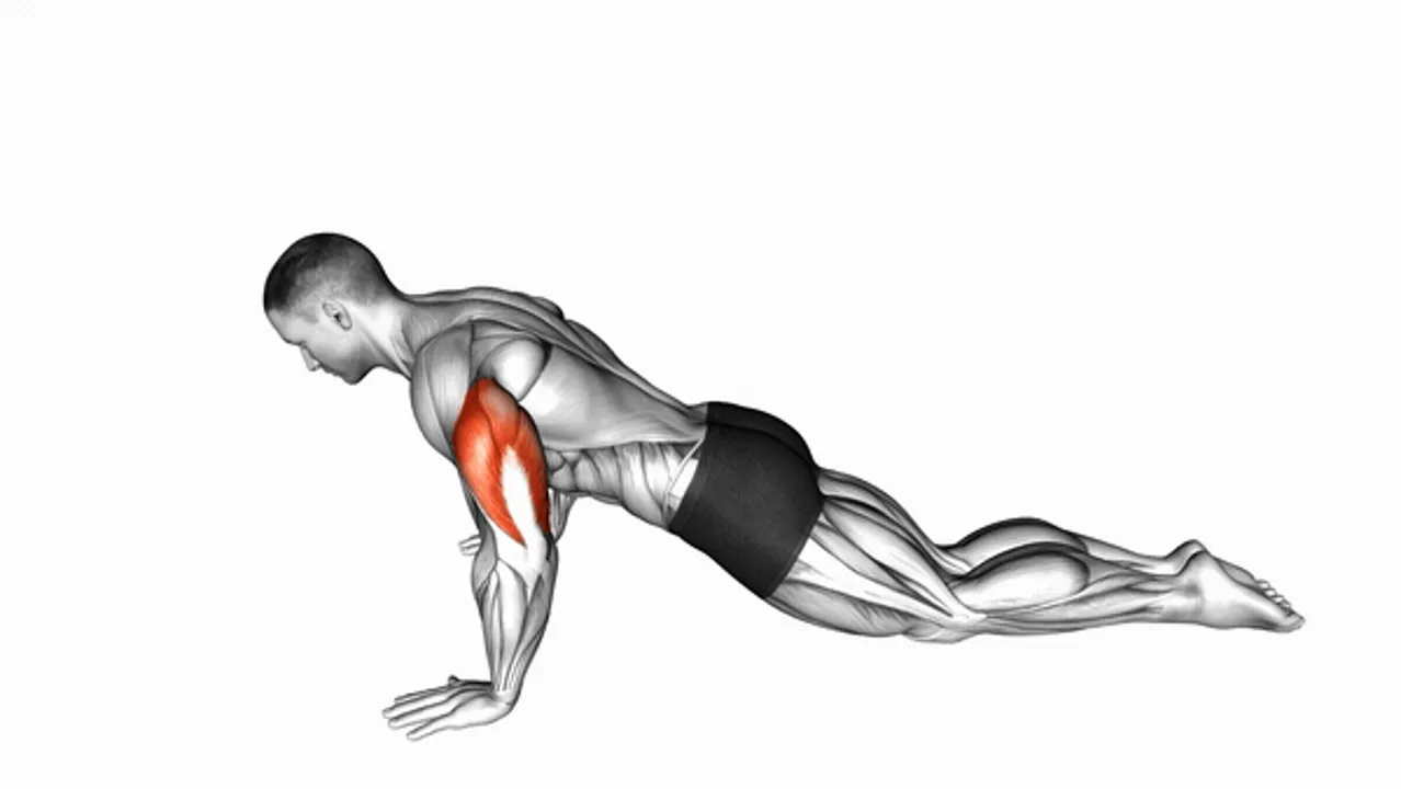 Kneeling Push-Ups