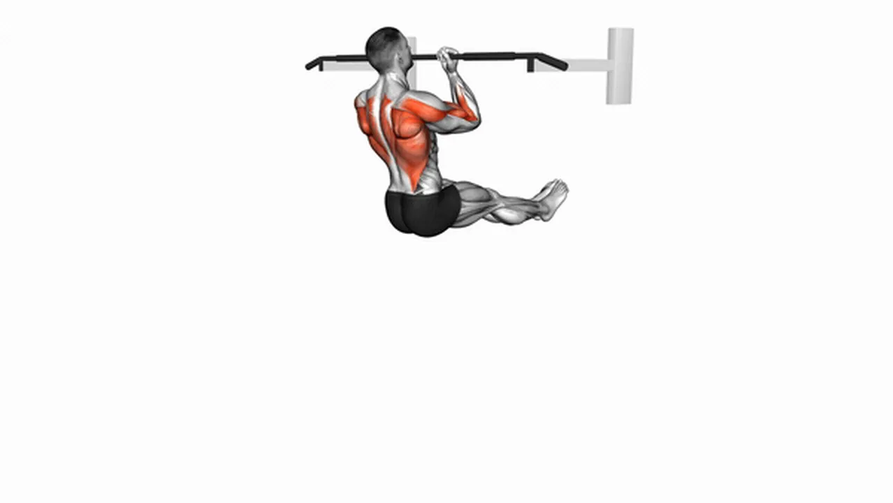 Common L-Sit Chin-Up variations Image