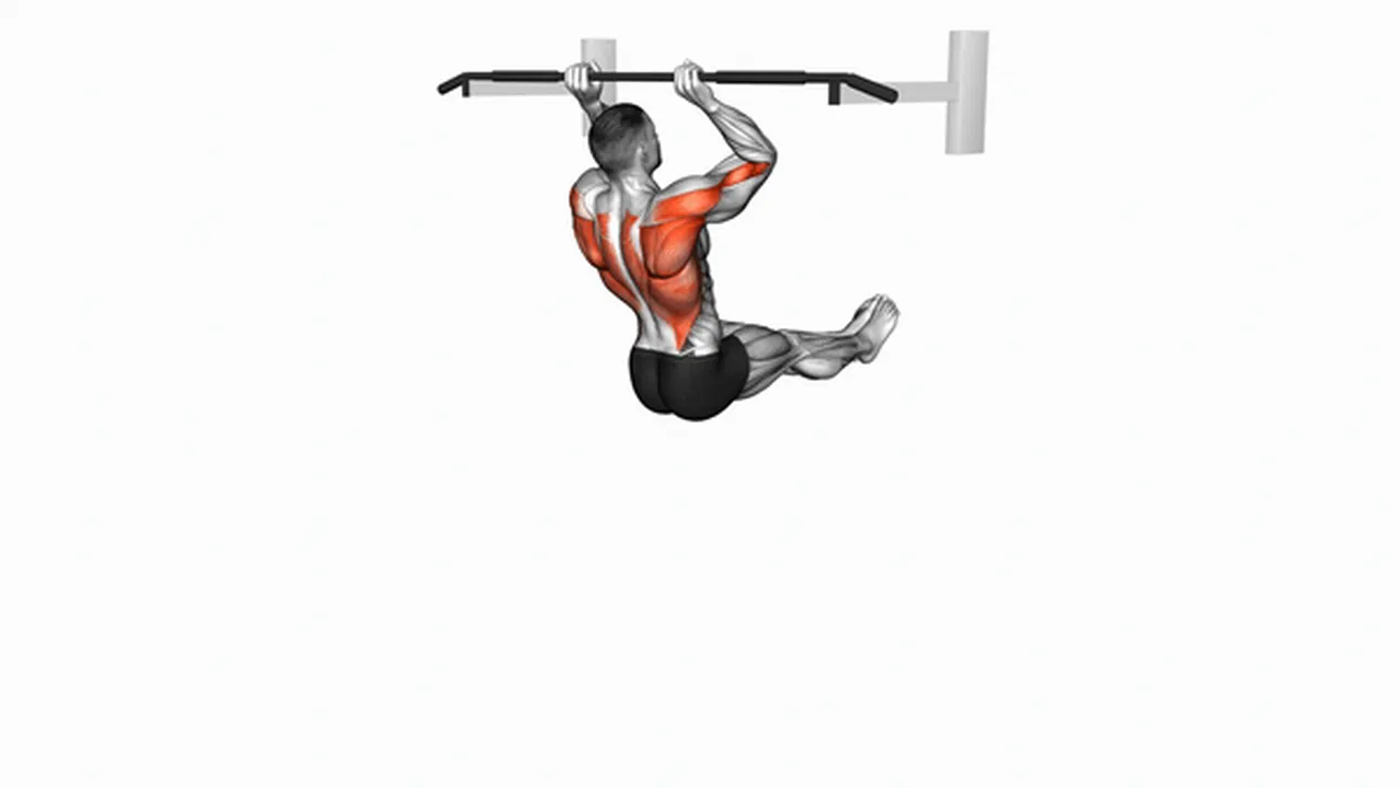 Common L-Sit Pull-Up variations Image