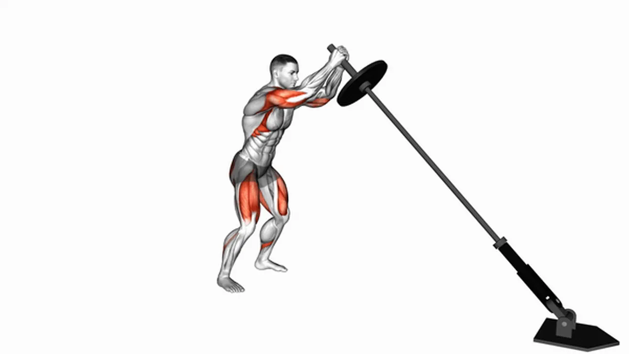 Common Landmine Squat and Press variations Image