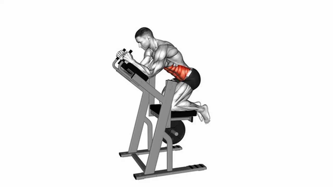 What are the benefits of Lever Ab Swings? Image