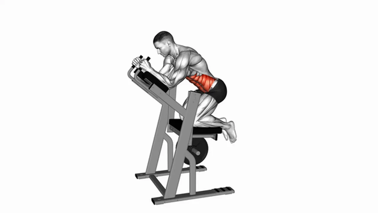 How to do Lever Ab Swings? Image