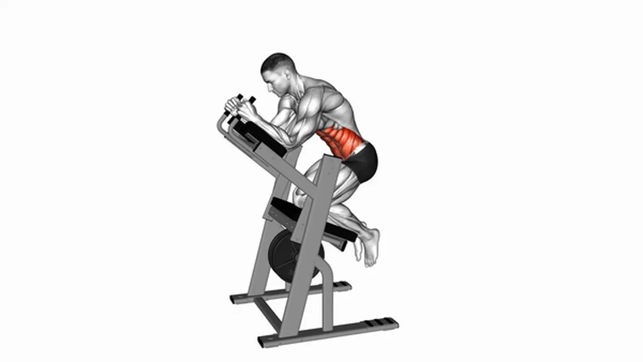 Common Lever Ab Swings variations Image