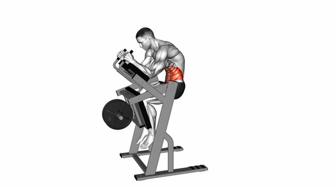 Alternatives to Lever Ab Swings Image