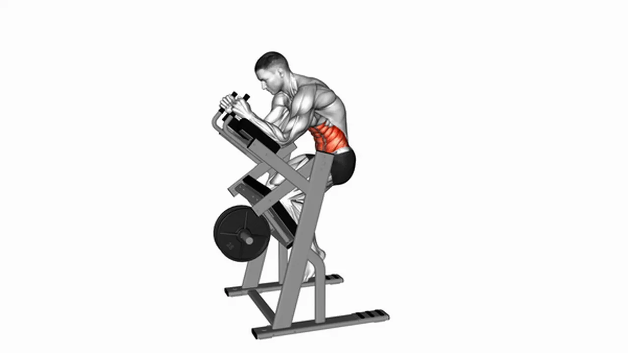 Common mistakes during Lever Ab Swings Image