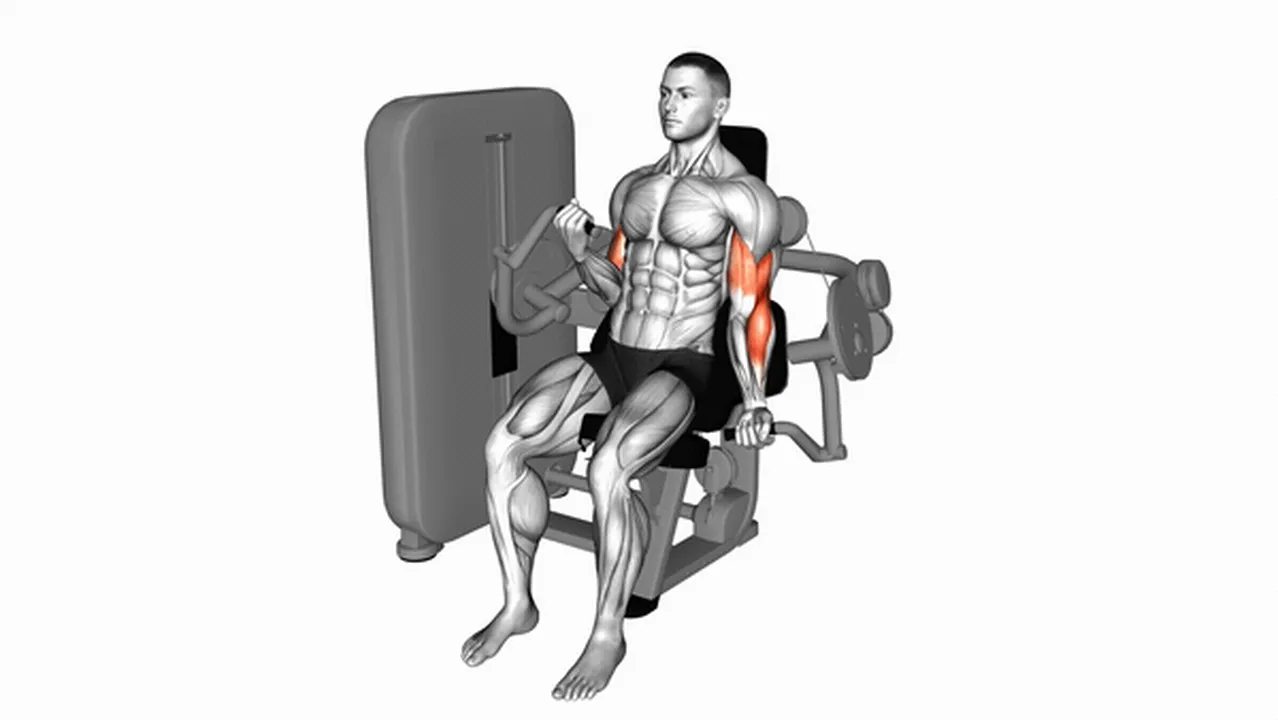 What are the benefits of the Lever Alternate Biceps Curl? Image