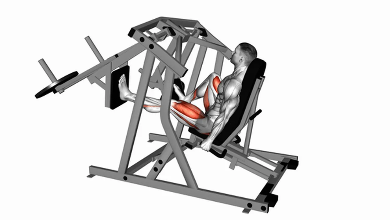 What are the benefits of Lever Alternate Leg Press? Image