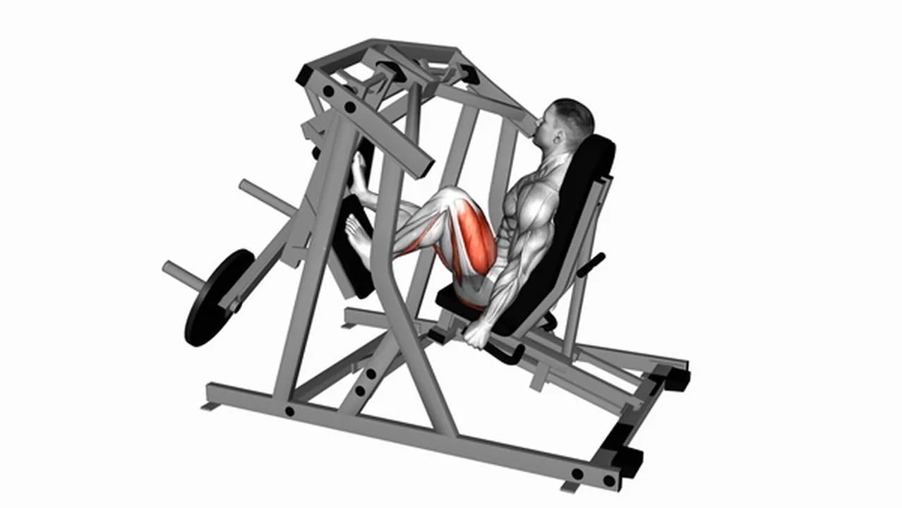 Common Lever Alternate Leg Press variations Image