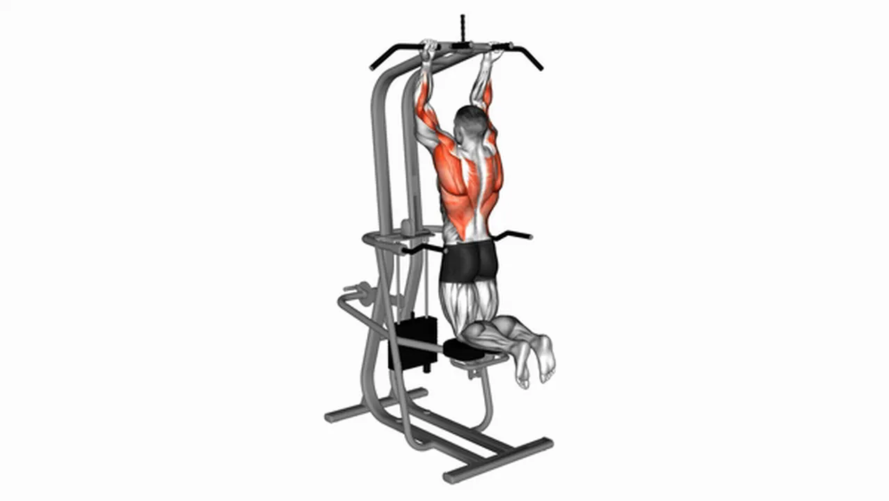 Common Lever Assisted Chin-Up variations Image