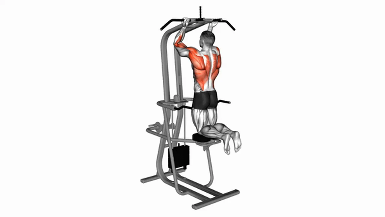 Alternatives to Lever Assisted Chin-Ups Image