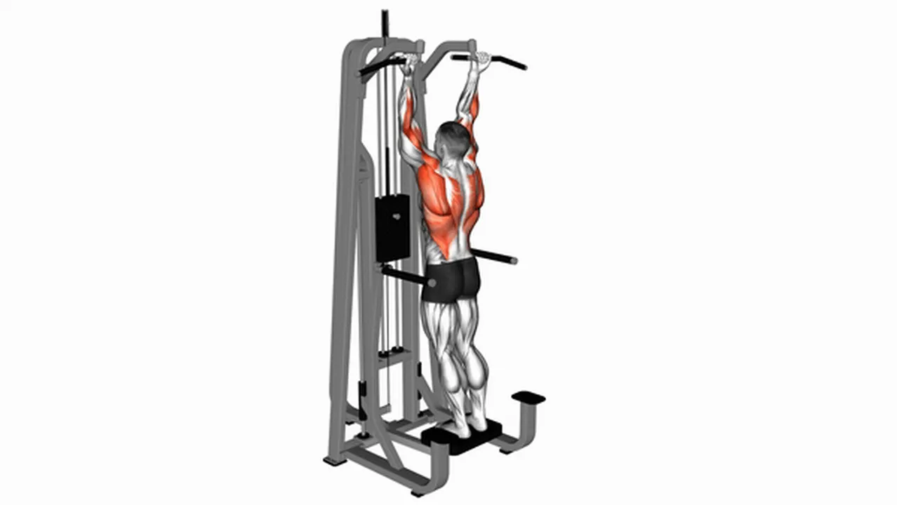 Common Lever Assisted Standing Chin-Up variations Image