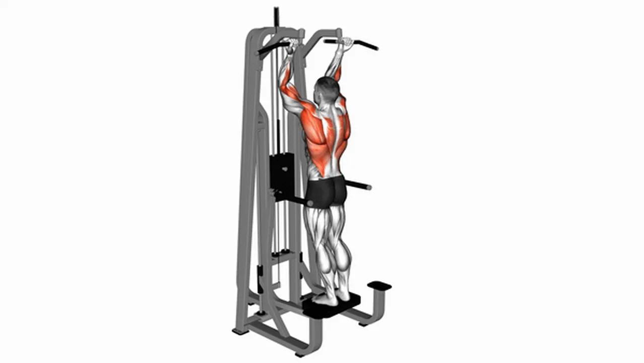 Alternatives to Lever Assisted Standing Chin-Ups Image