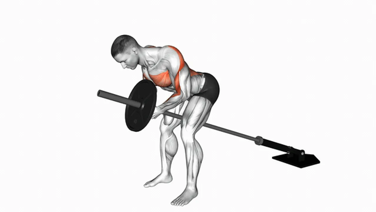 What are the benefits of Lever Bent Over Rows? Image