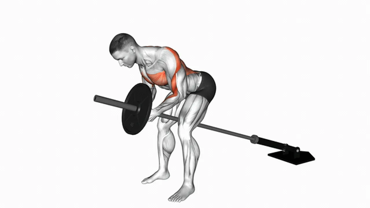 How to do Lever Bent Over Rows? Image